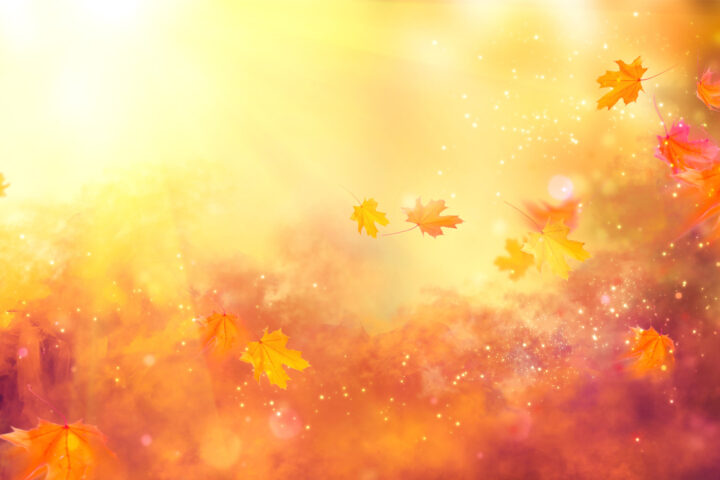 Fall season backgrounds with leaves changing colors on an abstract fall colored background.